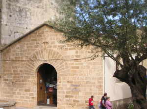 Museu Monografic de Pollentia