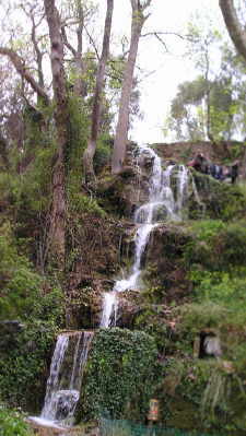 Quellwasser sprudelt