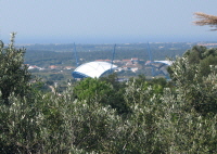 Gedränge vor der Markthalle